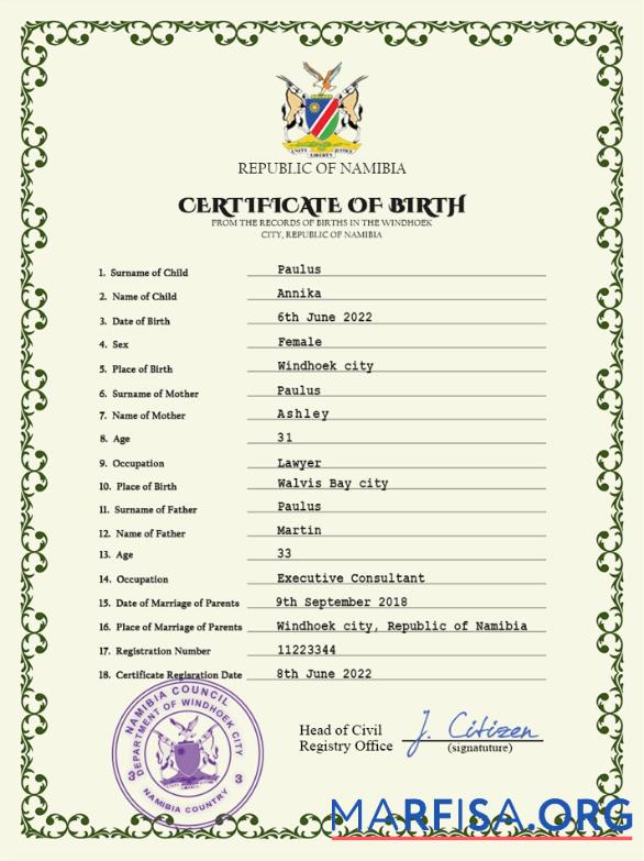 Blank Namibia vital record birth certificate PSD template